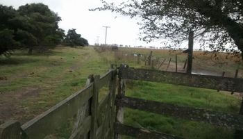 Buenos Aires y La Pampa son las provincias con mayores chances de recibir lluvias