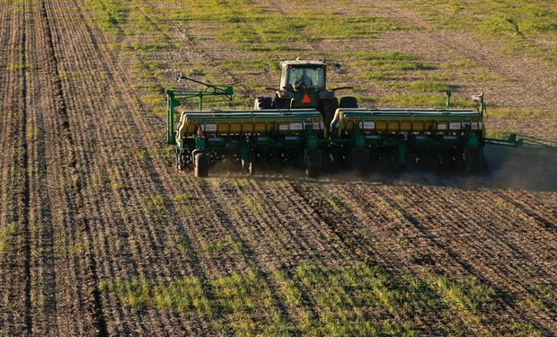 Trigo y costos: cambia el negocio antes de la siembra