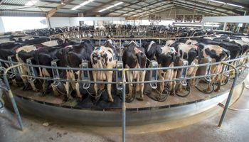 Captação de leite caiu 5% no Brasil em 2022, aponta Cepea