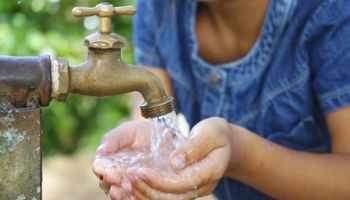Una investigación reveló que el acceso al agua reduce casi un 50% el trabajo infantil en zonas rurales