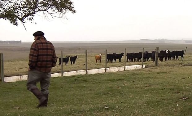 Incremento salarial para los trabajadores rurales permanentes para el mes de octubre 2019.