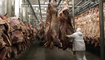 Firma de Brasil cesa la actividad de un frigorífico