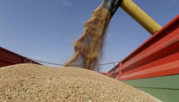El Gobierno creó un nuevo registro de granos