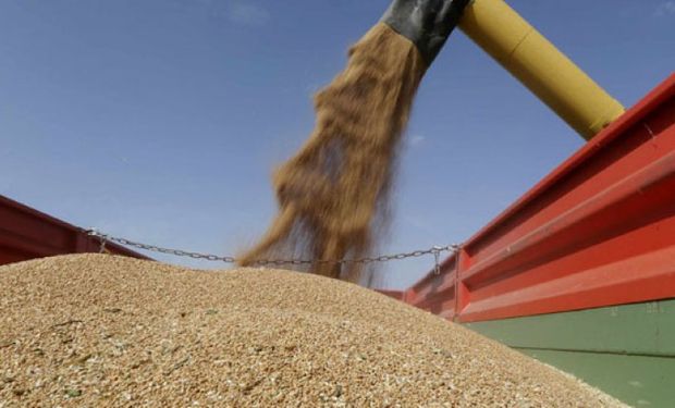 El Gobierno creó un nuevo registro de granos