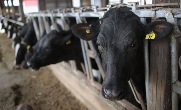 Se destaca la participación de Mike McCloskey, Co fundador y CEO de Select Milk Production, una de las cooperativas lecheras más importantes de EE.UU.