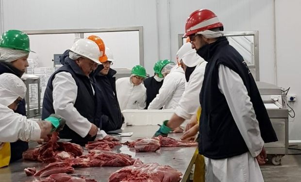 Exportación de carne: durante julio cayó un 16% el ingreso de dólares