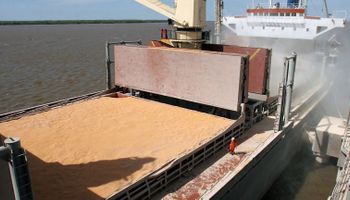 Ingresaron 122 millones de dólares de la agroexportación en la última semana
