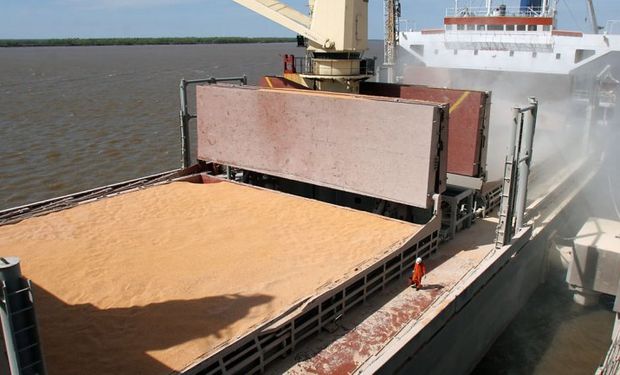 En diciembre las exportaciones campo cayeron otro 46%