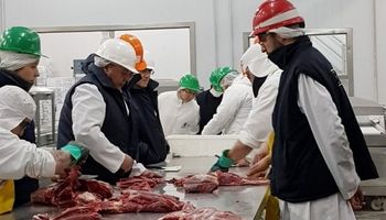 Rusia restringe temporalmente la importación de carne de 5 frigoríficos argentinos