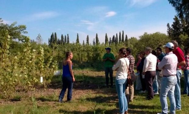 El modelo difiere del de la educación agrotécnica tradicional.