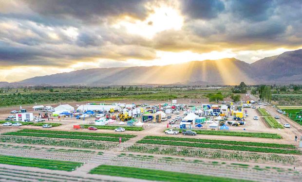 La cumbre del agro en Cuyo: Banco de San Juan y Agrofy Pay se unen a la feria frutihortícola más grande de la región que impulsa agronegocios y expone los últimos avances tecnológicos