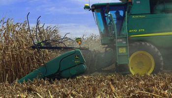 El USDA sorprendió con elevados rindes de maíz y soja