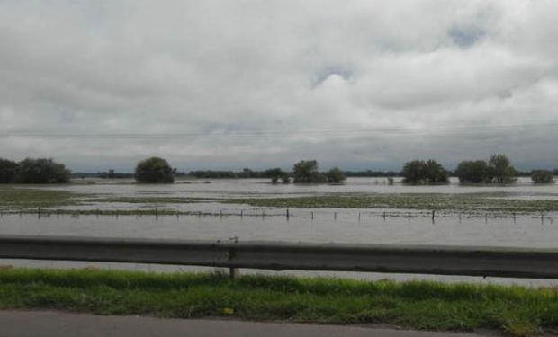 Santa Fe: Media provincia bajo agua