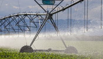 Régimen de incentivo para el campo: cómo registrarse y quiénes pueden aplicar para las inversiones 