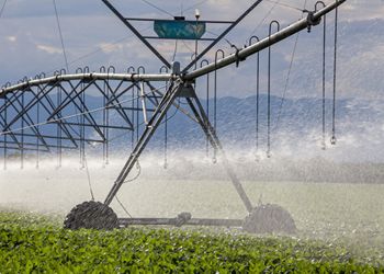Régimen de incentivo para el campo: cómo registrarse y quiénes pueden aplicar para las inversiones 