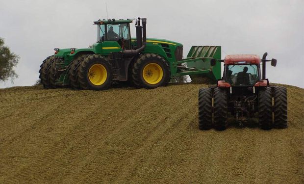 Las claves de la empresa de agro argentina que alcanzó las 860 mil hectáreas en la región: “Vamos a las zonas en donde a la gente no le gusta ir”