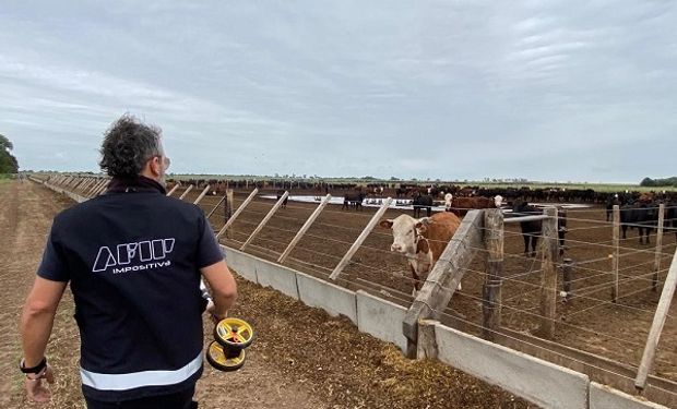 La AFIP se metió a un feedlot cordobés para incautar 1700 toneladas de maíz