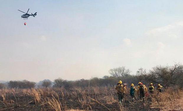 Continúan los incendios en las islas del Paraná y el humo llegó a Buenos Aires