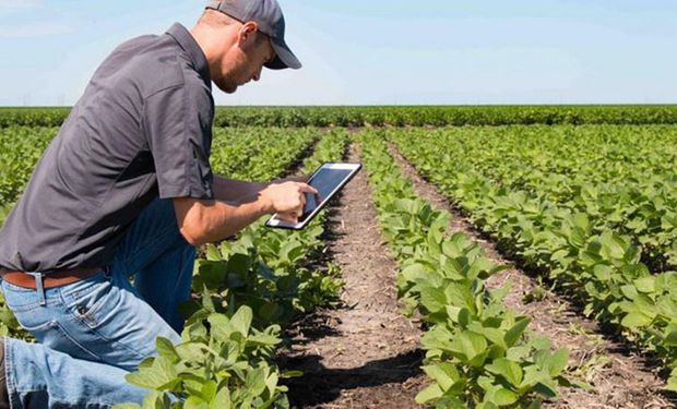 De ser el respaldo del productor frente a los riesgos climáticos a impulsar startups: la apuesta de La Segunda para potenciar el agro