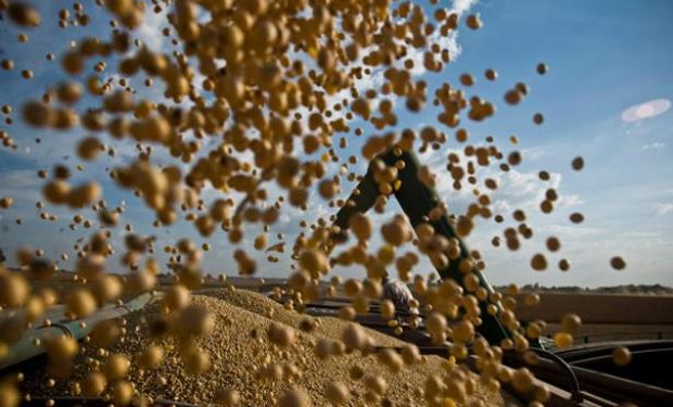 La producción agrícola de América corre riesgo si no se usa bien el agua
