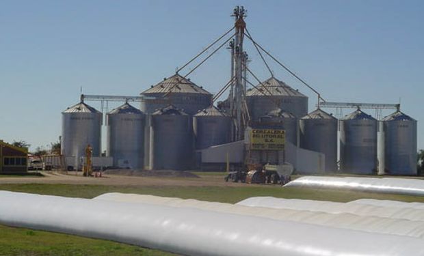 Cerealeras ingresaron ya u$s 167 millones