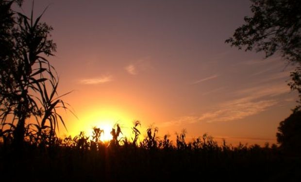 El jueves comienza a definirse una zona frontal sobre el sudoeste, con un rápido paso hacia la franja central entre viernes y sábado.