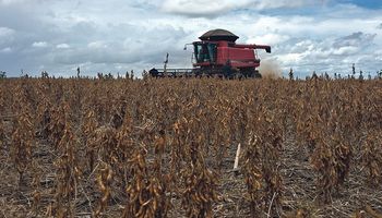 Sube la soja y el mercado mira a Sudamérica para conocer el volumen de la cosecha