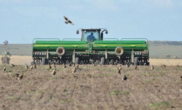 La falta de lluvias golpea a la siembra de trigo, pero se alcanzarían las 7 millones de hectáreas