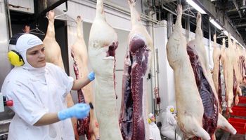 República Dominicana abre mercado para carnes bovina e suína brasileiras