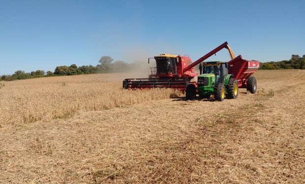 Las ventas de maquinarias agrícolas crecieron un 37,8 % en 2021