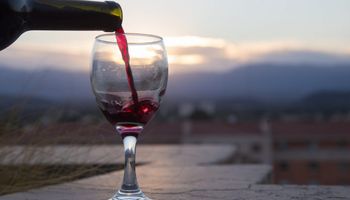 La exportación de vino creció un 21 % y aseguran que será récord