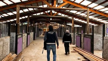 La AFIP denuncia 100% de irregularidad laboral en un establecimiento de caballos