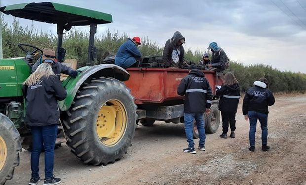 Trata de personas en un campo de San Juan: los trabajadores no habían percibido salario alguno en función de las “deudas” que habían contraído con el empleador