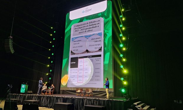 Comenzó el Congreso Internacional de Maíz, desde Rosario: los disertantes destacados que definen el futuro del cultivo más importante del mundo