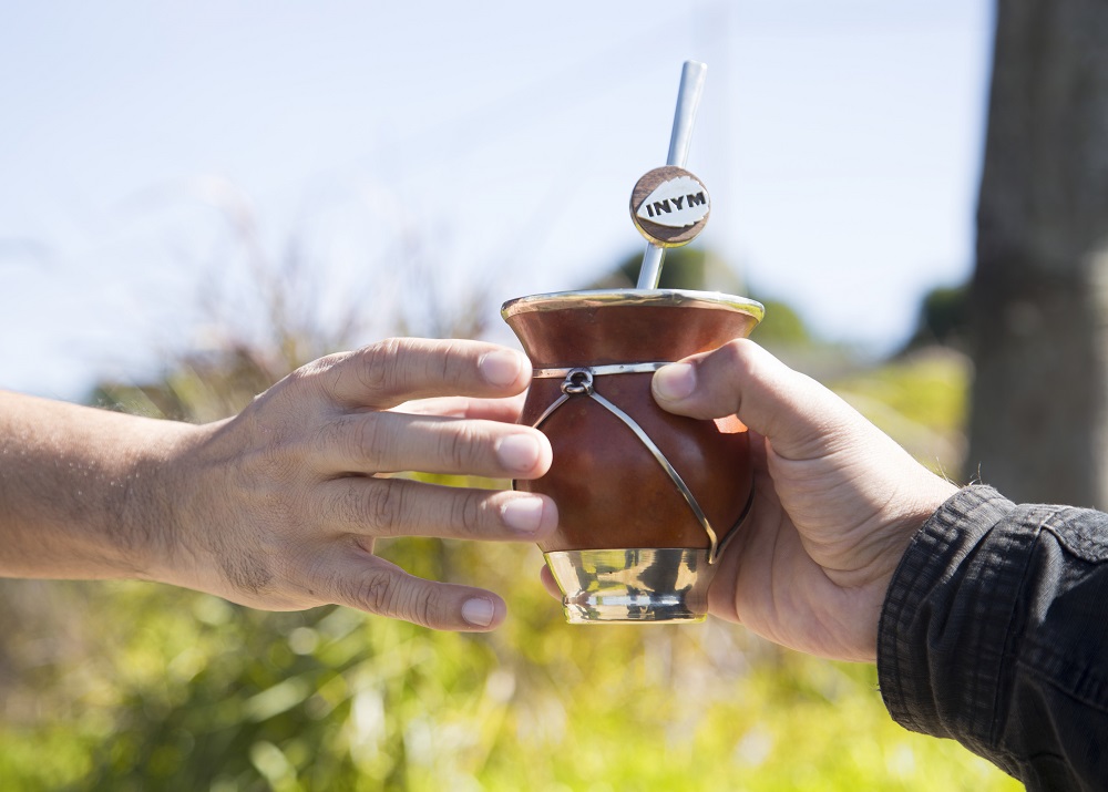 Día Nacional Del Mate: Por Qué Se Celebra 30 De Noviembre Y Cómo Elegir ...