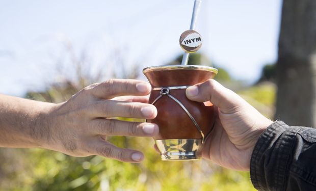 Argentina batió el récord histórico de producción y consumo de yerba mate