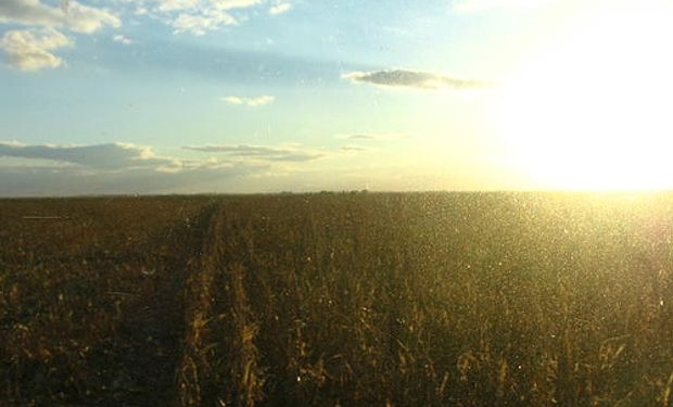 Sin lluvias y con ola de calor, se deterioran el maíz y la soja