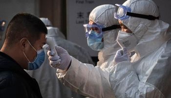 Subas para soja, maíz y trigo frente al optimismo por el control del coronavirus