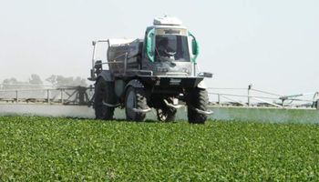 Se mantendrán precios de insumos importados