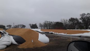 Indignación en un productor al que le rompieron tres silo bolsas en medio de las lluvias
