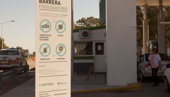 Barrera sanitaria: extienden la suspensión de la medida que habilitó el ingreso de carne con hueso a la Patagonia