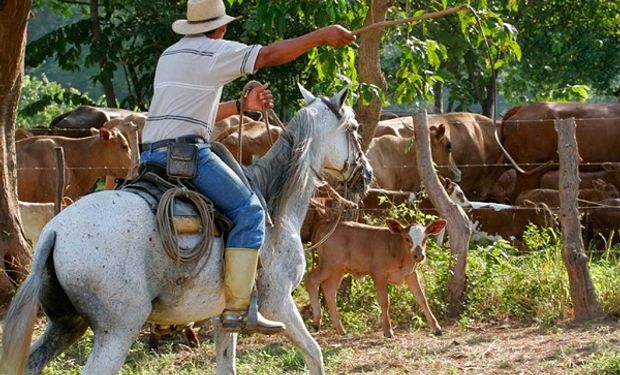 Rige un nuevo salario mínimo para los trabajadores agrarios