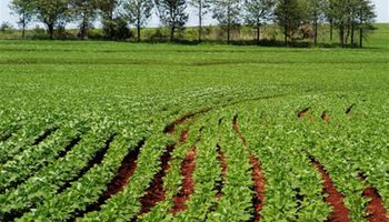 Europa adopta reforma de Política Agrícola Común