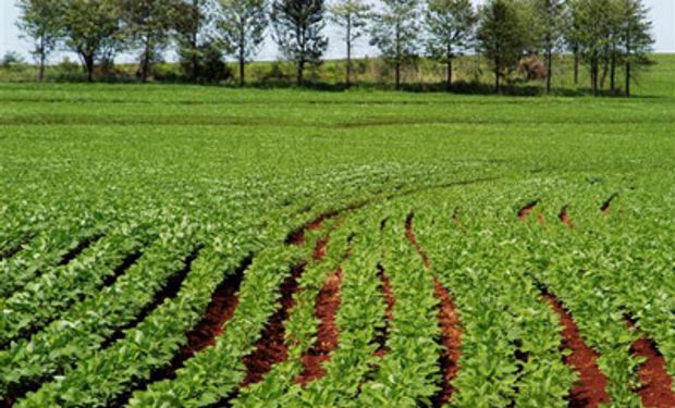 Europa adopta reforma de Política Agrícola Común