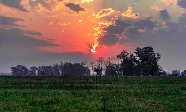 Las temperaturas templadas y las pocas posibilidades de lluvias dominan la semana