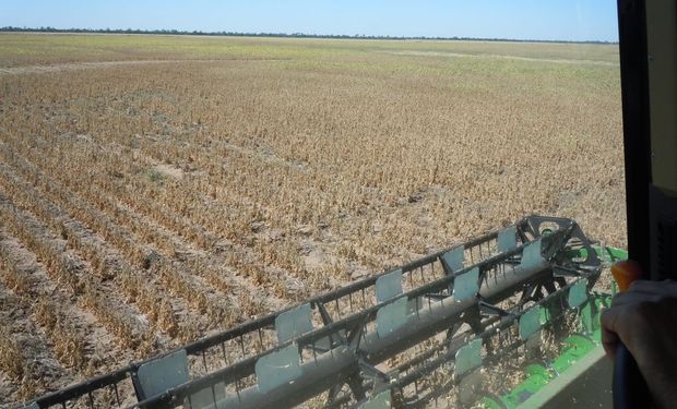 Fabricantes de maquinaria frenan las fábricas pero aclaran que habrá repuestos y asistencia para la cosecha