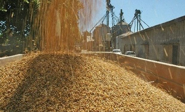 China cancela embarques sudamericanos de soja