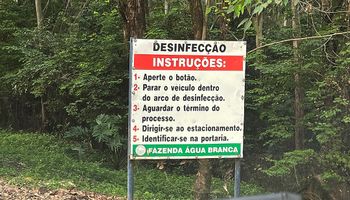 Como garantir biossegurança em granjas de suínos?