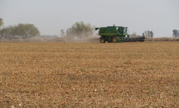 Santa Fe y Buenos Aires aclararon qué deben presentar los productores para circular