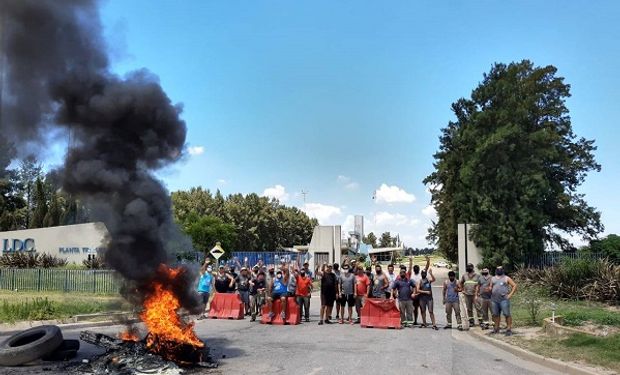 Tras 20 días de paro, el gremio de aceiteros y la industria llegaron a un acuerdo: qué se resolvió